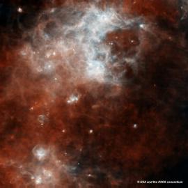 Herschel/PACS image (SPIRE/PACS parallel mode)